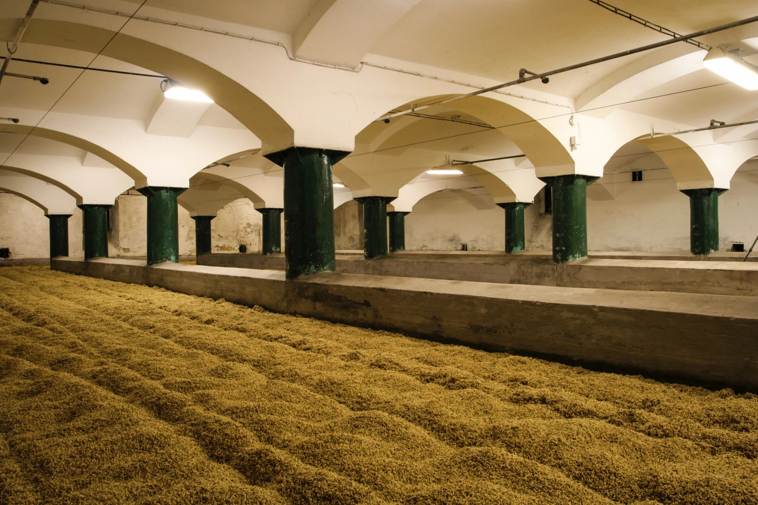 Det traditionelle malteri hos Bernard bryggeriet i Humpolec (Tjekkiet), hvor de selv fremstiller malt til deres øl